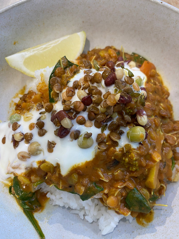 Sprouted Lentil Curry & Toasted Crunchy Mix Topping