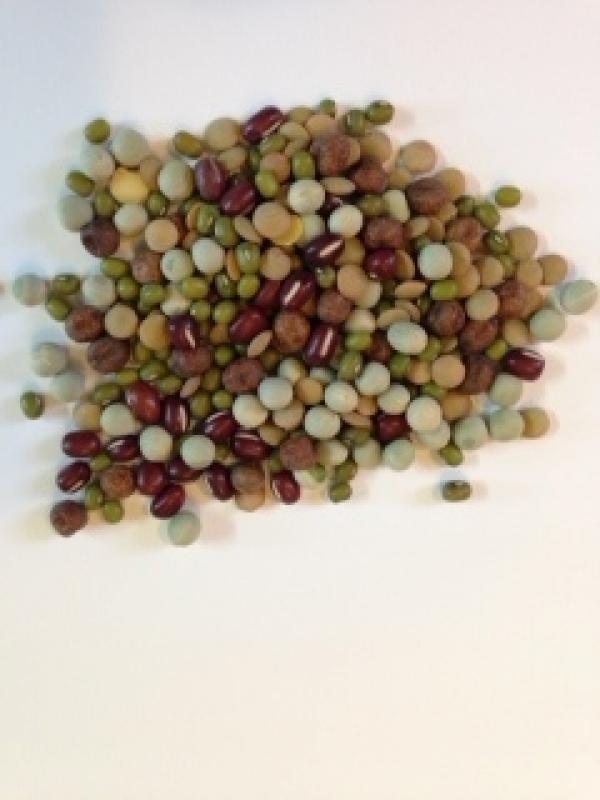 Seeds for Sprouting