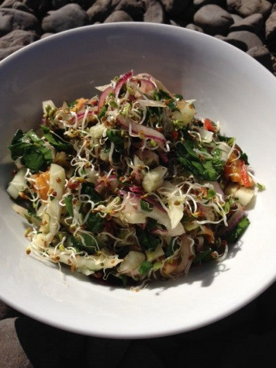 FENNEL SALAD WITH BROCCOLI MIX SPROUTS