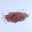 Radish Seeds 100gm